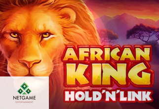 African King Hold'n'Link